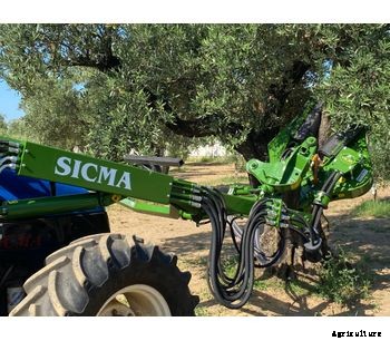 Sicma - Model TLX 100 - Harvester for olives, nuts  (walnuts, almonds, pistachio, etc.), cherries, plums with trunk shaker