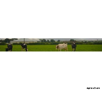 EnviFarm - Our Solution for Biogas // Agricultural Sector