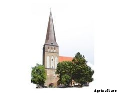 EnviFarm - Our Solution for Biogas // Agricultural Sector