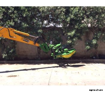 Sicma - Model Harvesting kit for miniexcavator - Harvester for olives, nuts, cherries, plums with trunk shaker (equipped with or without umbrella)