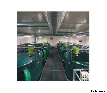 FTN AquaArt - Recirculating Aquaculture Systems (RAS)