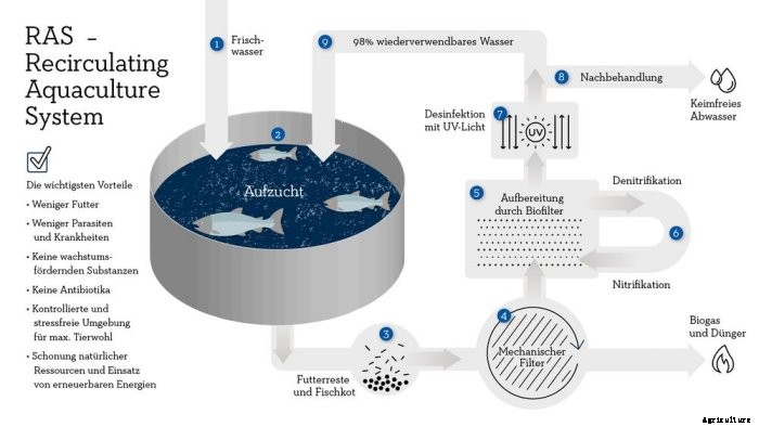FTN AquaArt - Recirculating Aquaculture Systems (RAS)
