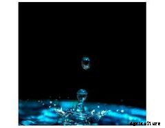 FTN AquaArt - Recirculating Aquaculture Systems (RAS)