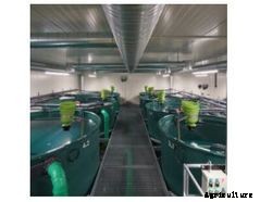 FTN AquaArt - Recirculating Aquaculture Systems (RAS)