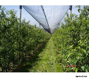 Umweltanalytische-Produkte - Refractometer