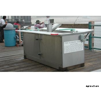 Monster - Industrial Stainless Steel Fish Cleaning Stations