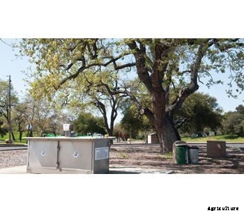 Monster - Industrial Stainless Steel Fish Cleaning Stations