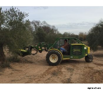 Sicma - Model Speedy - Harvester for Olives, nuts, cherries, plums with trunk shaker (equipped with or without umbrella)