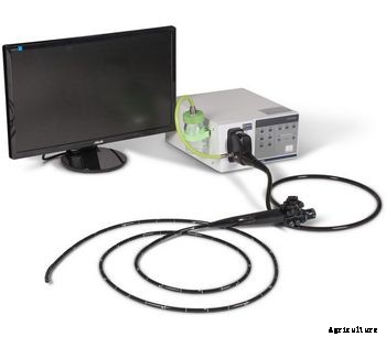 HD Video Veterinary Gastroscopes