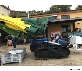 Sicma - Model RC - Harvester for olives, nuts, cherries, plums with trunk shaker (equipped with or without umbrella)