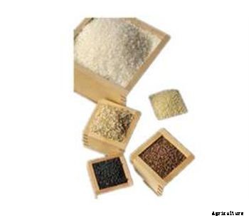 MNML Series Rice Mill Machine