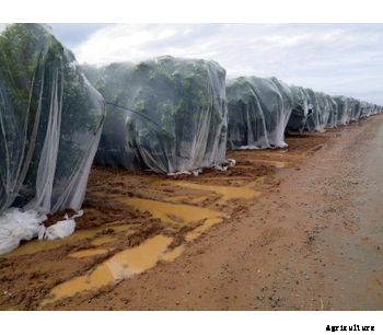 Citrus Netting Applicator