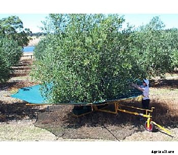 OliNet - Nut and Olive Harvester