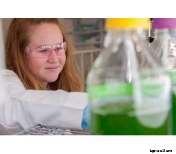 Algenol - Photobioreactors