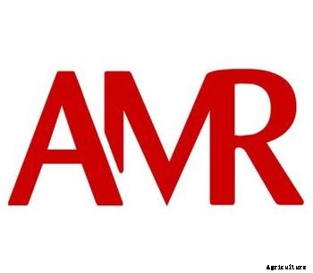 Model RB 500 - Band Saws