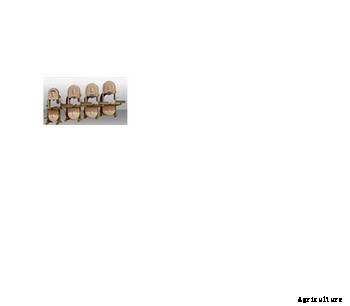 Pezzolato - Model SN500 - Band Saws