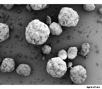 galenIQ - Model 981 - Agglomerated Spherical Isomal