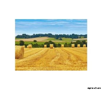 TenCate - Crop Protection Fabrics