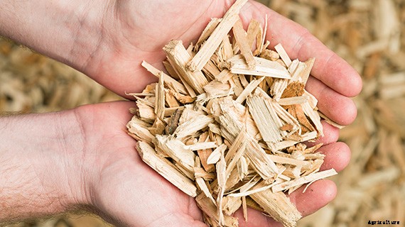 TenCate - Crop Protection Fabrics