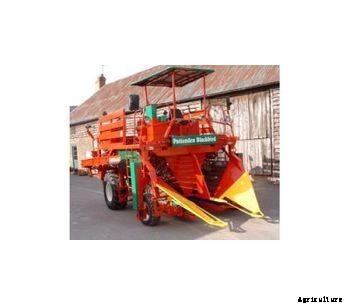 Pattenden - Blackcurrant Picking Machines