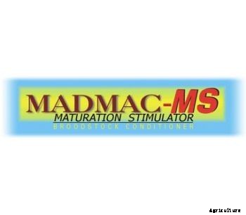 MadMac - Model MSW - Maturation Stimulator