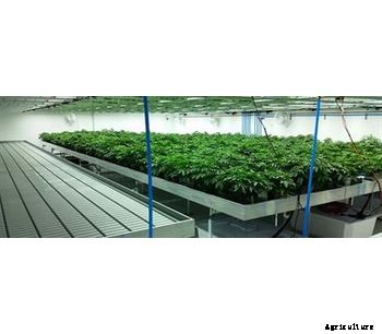 Ionization - Hydroponics  System