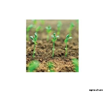 Model Phyto-Zyme - Bio-Catalytic Soil Conditioner & Nutrient Optimization