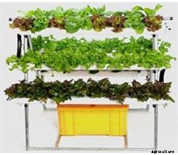 M&F - Model DH-A48 - Rooftop Hydroponic System