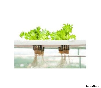 Hydroponics Technology