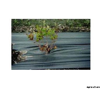 Model 3.0 - Black Polypropylene Ground Cover Fabric