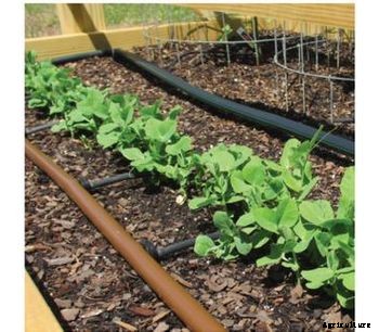 Irritory - PE Irrigation Pipe