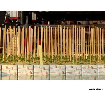 FlierSystems - Fully Automated Plant Rockwool Line