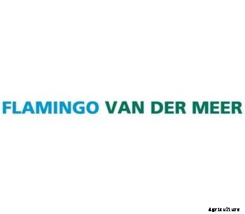 Taks - Taks Bunch Tomato System