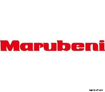 Alginate / Propylene Glycol Alginate