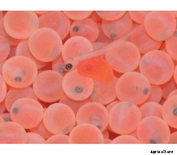 AquaSearch - Fresh Unique