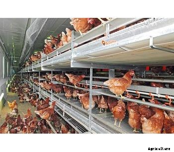 NATURA - Model Nova - Modern Aviary System