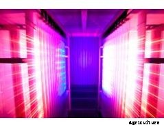 FeedMe - Commercial Algae Production Technology