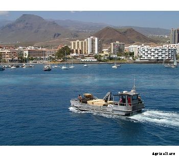 Wave Worker - Model 1100 Class - ALN 042 Tanja - Fish Farming Displacement Catamaran