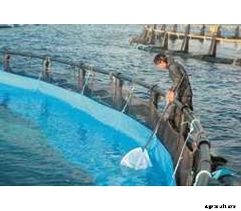 Diopas - Fish Vaccination Bags