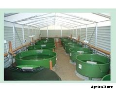 Model GFK - Rearing Tanks and Basins
