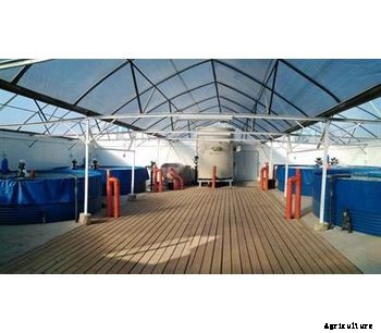 BioFishency - Mini RAS Turnkey Fish Farms