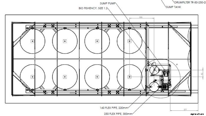 BioFishency - Mini RAS Turnkey Fish Farms