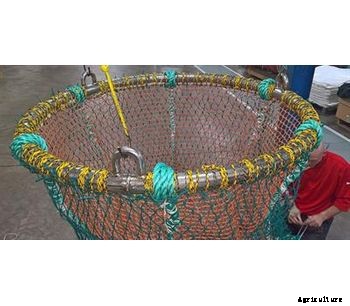 W J Knox - Other Nets