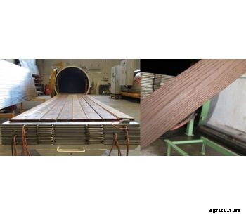ISVE - Model HTVST - High Temperature Heat Treatment of Wood
