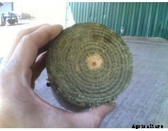 ISVE - Model IMP-VP - Vacuum Pressure Impregnation Systems