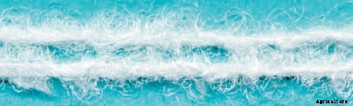 Sedifilt - Bleached Cotton Cartridge