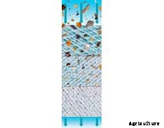 Sedifilt - Bleached Cotton Cartridge