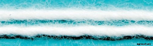 Sedifilt - Bleached Cotton Cartridge