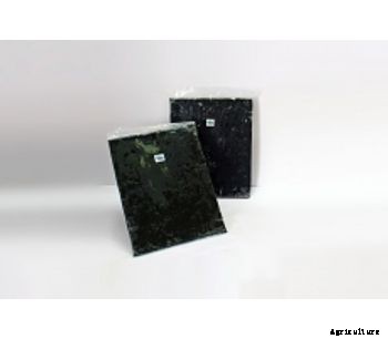 Necton Isochrysis - Golden Marine Phytoflagellate