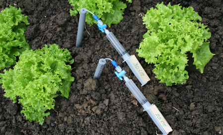 MacroRhizons - For Field Research